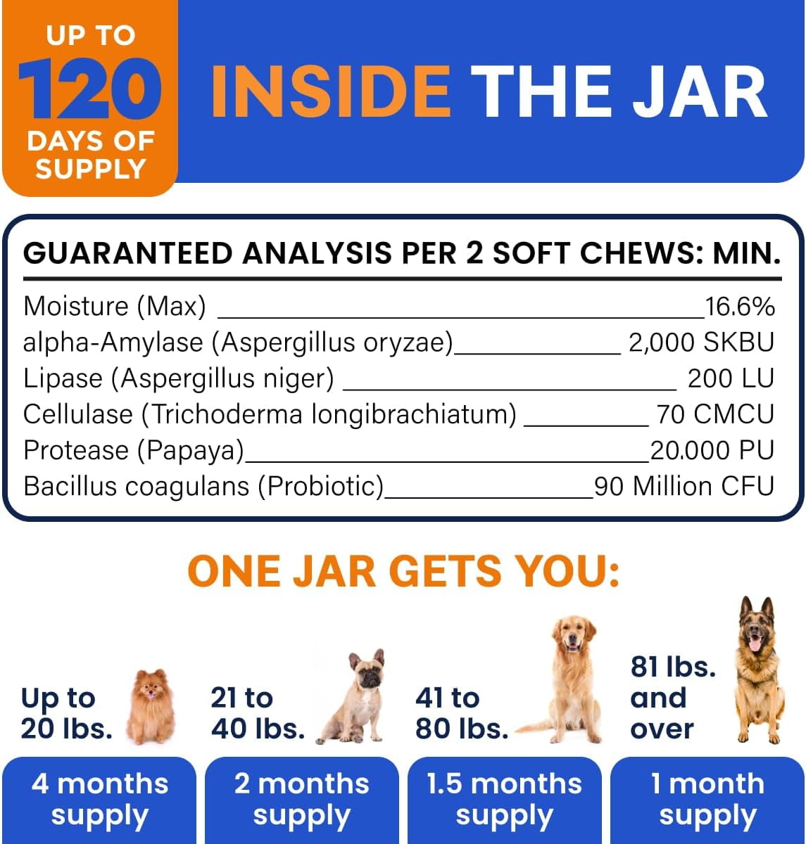 Probiotic Chews for Dogs - Digestive Enzymes, Diarrhea & Upset Stomach Relief - Gut Health, Itchy Skin, Prebiotic, Bacon (120 Ct)
