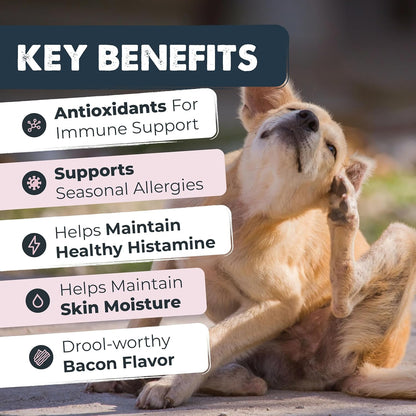 Waggables Allergy & Immune Support for Dogs | Omega 3, Quercetin, Bacon Flavor, 120 Ct