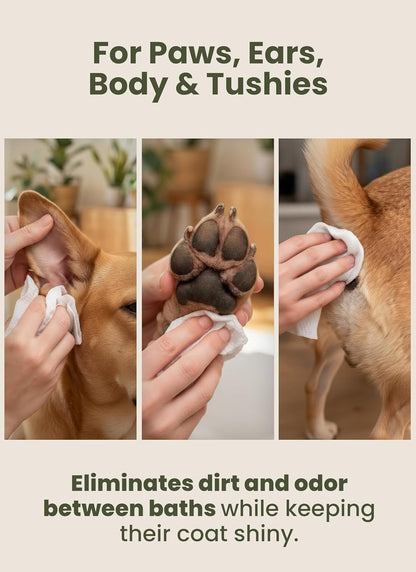 Pogi’S Dog Wipes – Hypoallergenic Pet Wipes for Paws, Body & Butt – Cleaning & Hydrating, Fragrance Free, 400 Count