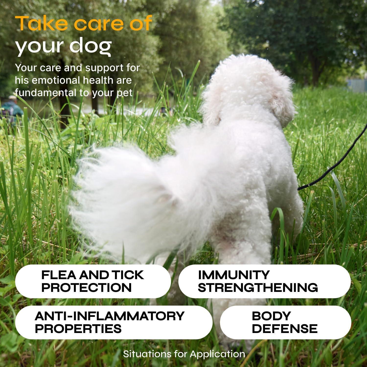 Flea and Tick Prevention for Dogs Dog Flea Treatment Chews Immune Support Flea and Tick Chewables for Dogs Dog Flea & Tick Control Supplement All Breeds & Ages Vet Formulated Soft Treats